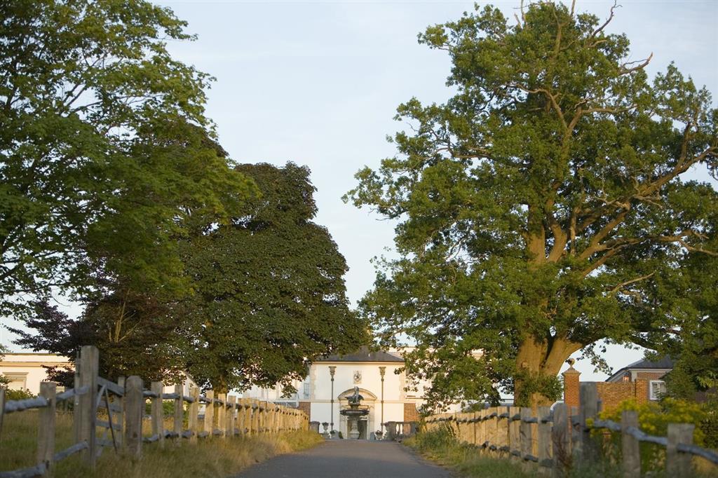 Buxted Park Country House Guest House Bagian luar foto